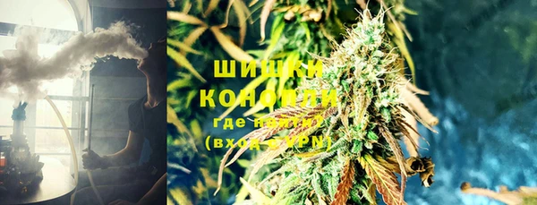 гидропоника Бородино